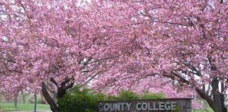 College, Career or a New Direction: Explore Your Possibilities at County College of Morris Open House