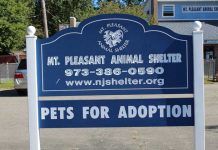 Mt. Pleasant Animal Shelter Seeks Vendors, Sponsors for 6th Annual Pet Palooza & Food Truck Festival