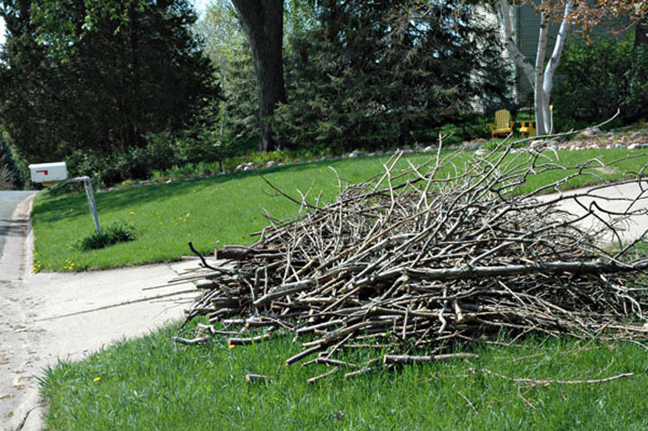brush-pick-up