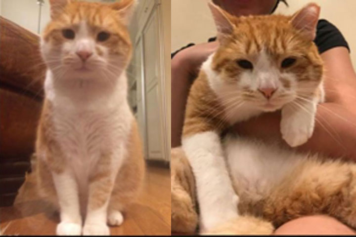 combined
