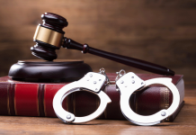 Five Arrested After Overnight Pursuit of Stolen Vehicle Ends in Montville