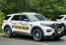 Jefferson Township Man Charged with DWI After Car Crashes Into Woods