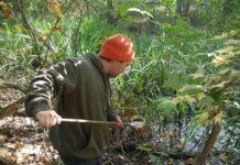 Mosquito spraying planned in Jefferson Township Wednesday night