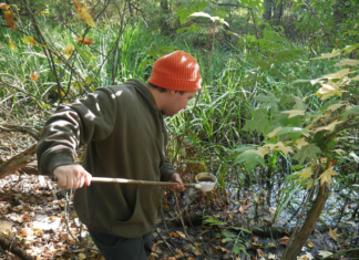 Mosquito treatments scheduled for Thursday morning