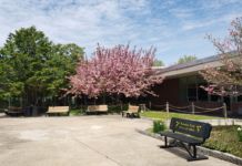 Academic Excellence Recognized at Hanover Park High School