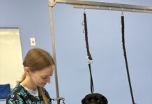 Pepe’s Pawlor Opens in Oak Ridge, Offering Personalized Dog Grooming
