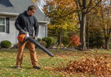 Green Team Launches Quiet Summer Initiative