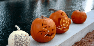 Pumpkin Illumination to Light Up Morristown’s Vail Mansion Plaza